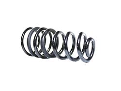 Mopar Replacement Coil Springs for 2019-2021 2500 - 68349171AB