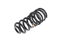 Mopar Replacement Coil Springs for 2021 2500 - 68349175AB