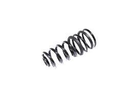 Mopar Replacement Coil Springs for 2021 2500 - 68349176AB