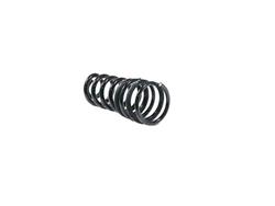 Mopar Replacement Coil Springs for 2021 2500 - 68349178AB