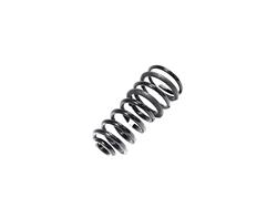 Mopar Replacement Coil Springs for 2021 2500 - 68349179AB