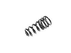 Mopar Replacement Coil Springs for 2021 2500 - 68349182AB