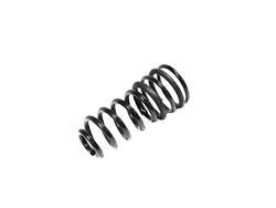 Mopar Replacement Coil Springs 68349184AB