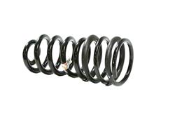 Mopar Replacement Coil Springs for 2021 2500 - 68349185AB