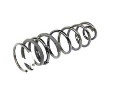 Mopar Replacement Coil Springs 68370572AC
