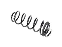 Mopar Replacement Coil Springs 68370579AC