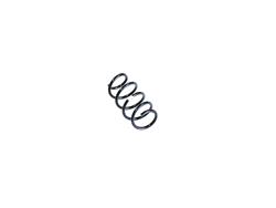 Mopar Replacement Coil Springs 68372913AB