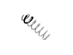 Mopar Replacement Coil Springs 68506384AB