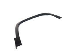 Mopar Replacement Body Moldings 6BF80TZZAD