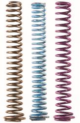 Moroso Oil Pump Springs 22851
