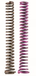 Moroso Oil Pump Springs 22852