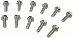 Moroso Bolts and Screws 38307