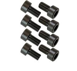 Moroso Flexplate Fasteners 38763