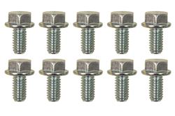 Moroso Bolts and Screws 38840