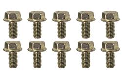 Moroso Bolts and Screws 38841