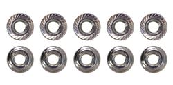 Moroso Nuts 38845