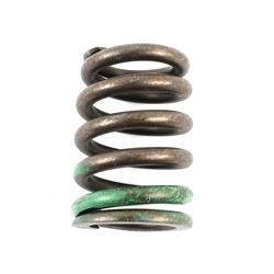 Chevrolet Performance Valve Springs 10240898