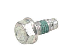 Chevrolet Performance Bolts and Screws 11546840