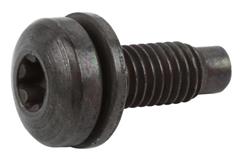Chevrolet Performance Bolts and Screws 11561015