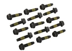 Chevrolet Performance Bolts and Screws 11609481