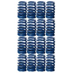 Chevrolet Performance Valve Springs 12499224