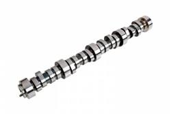 Chevrolet Performance Hydraulic Roller Camshafts 12574519