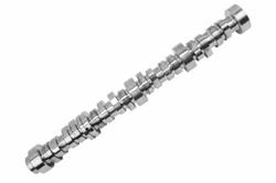 Chevrolet Performance Hydraulic Flat Tappet Camshafts 12623066