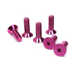 NRG Steering Wheel Screw Kits SWS-100PK