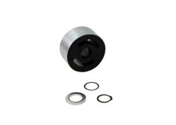 Nolathane Trailing Arm Bushings for 1990-1993 INTEGRA - REV100.0006