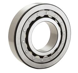 BCA Bearings by NTN Manual Transmission Bearings for 1988-1990 BRONCO II - NBMR1205EL