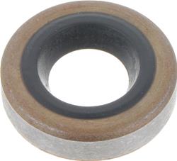 BCA Bearings by NTN Oil Seals NS240698