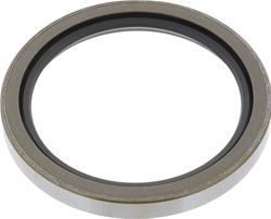 BCA Bearings by NTN Oil Seals NS3893V