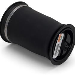 Arnott New Air Springs for 2007-2018 X5, 2008-2019 X6 - A-2642