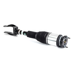 Arnott New Eibach Air Shocks and Struts AS-3156