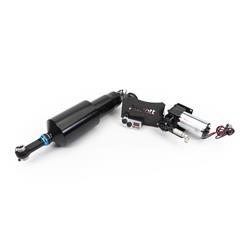 Arnott Air Suspension Shocks and Struts MC-3948