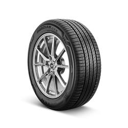 Nexen Roadian GTX Tires 255/55-18