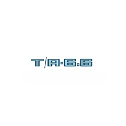 Trim Parts - Vehicle Graphics, Stripes and Stencils for 1978-1979 FIREBIRD - TPG-6318