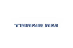 Trim Parts - Vehicle Graphics, Stripes and Stencils for 1978-1980 FIREBIRD - TPG-6331