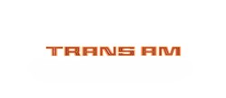 Trim Parts - Vehicle Graphics, Stripes and Stencils for 1979 FIREBIRD - TPG-6335