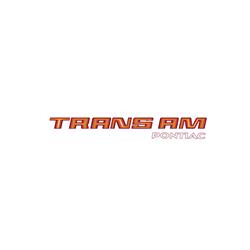 Trim Parts - Vehicle Graphics, Stripes and Stencils for 1980 FIREBIRD - TPG-6340