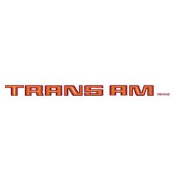 Trim Parts - Vehicle Graphics, Stripes and Stencils for 1980 FIREBIRD - TPG-6346
