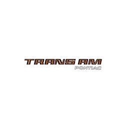 Trim Parts - Vehicle Graphics, Stripes and Stencils for 1980 FIREBIRD - TPG-6774