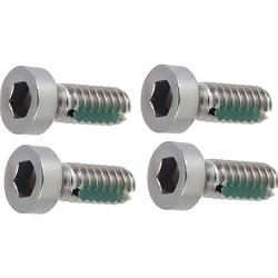 OER Bolts and Screws 379259