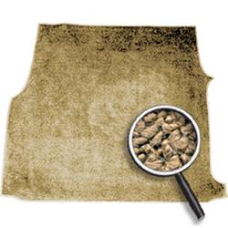 OER Authorized Molded Carpet Kits for 1962-1967 CHEVY II - 53700565