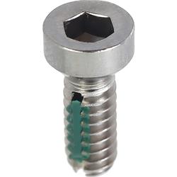 OER Bolts and Screws B12553
