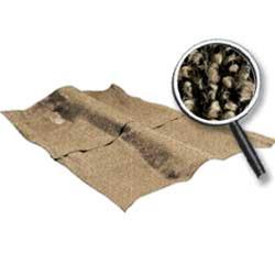 OER Carpet and Vinyl Floor Kits B9168T67