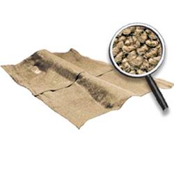 OER Authorized Molded Carpet Kits for 1962-1967 CHEVY II - N20044A4