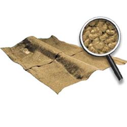 OER Authorized Molded Carpet Kits for 1968 CHEVY II, 1969-1979 NOVA - NC68731205