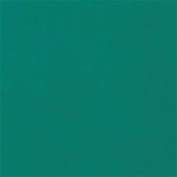 OER Paint PP1020