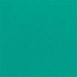OER Paint PP7586